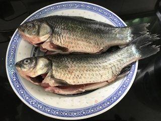 鲫鱼吃小白瓜吗,探究鱼儿饮食之谜