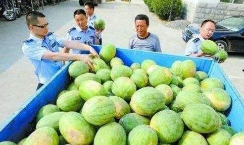 昔阳吃瓜群,揭秘网络社交的趣味与争议