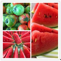 网络吃瓜头像,揭秘网络潮流背后的趣味与现象