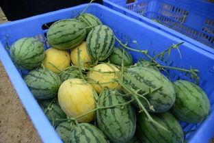 吃瓜班级群月月,月月热议话题大盘点