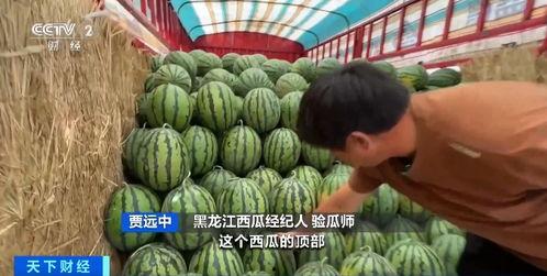 凯伦在吃瓜,揭秘娱乐圈幕后故事