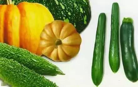 留学吃瓜局,揭秘留学生活中的“吃瓜”瞬间