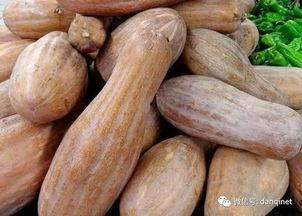 儿童吃方瓜,儿童健康成长的绿色伙伴