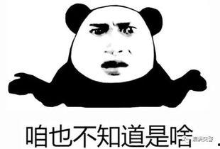 吃瓜视频确认围观