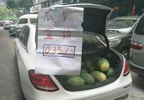 卖车还吃瓜,一场别开生面的汽车交易与生活趣谈