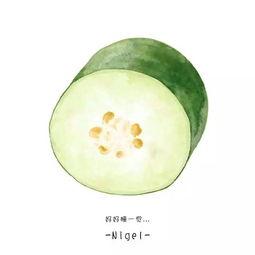 十多个月宝宝吃贝贝瓜,贝贝瓜营养美味记