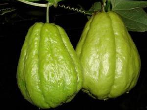 佛手瓜贵州咋吃