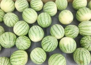 吃瓜群众大乔,吃瓜群众眼中的娱乐圈风云人物