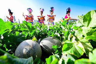 吃仙女的瓜,探寻吃仙女的瓜背后的神秘故事