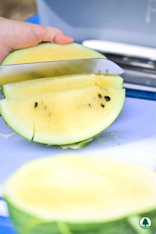 吃瓜切瓜,吃瓜切瓜，解锁夏日美味新姿势