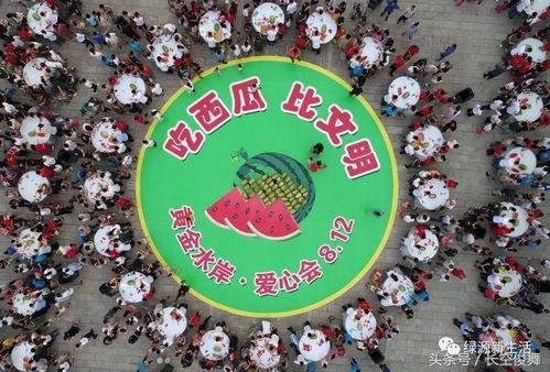 吃瓜大赛攻略,轻松掌握瓜界风云，成为瓜界达人