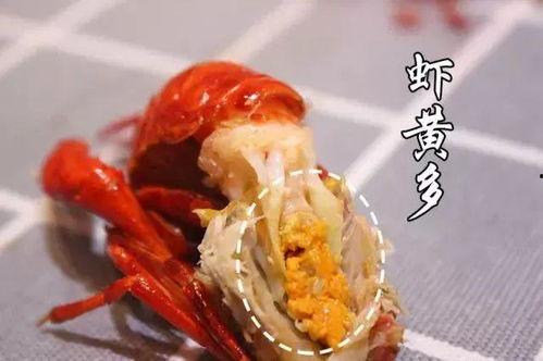 吃虾能吃白瓜,营养搭配，美味双享