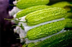 翠绿瓜孕妇吃,营养与安全的双重保障