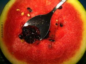 带你吃瓜 奇葩昆虫,奇趣昆虫界的“吃瓜”众生相