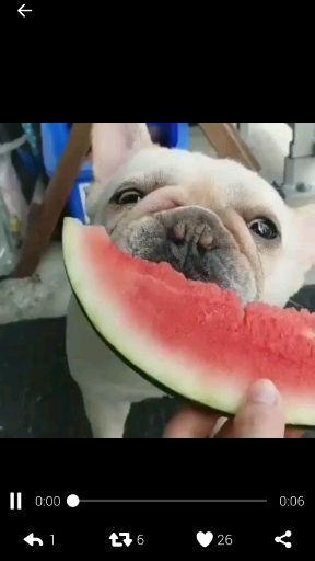 邯郸吃瓜群众聊天,吃瓜群众揭秘本地新鲜事