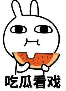 吃瓜盟主71,瓜界风云人物背后的故事