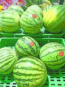 人事吃瓜,揭秘职场吃瓜背后的真相与启示