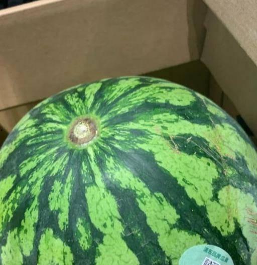 吃假瓜的视频,视频带你走进神秘世界