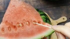 吃瓜少女专注吃瓜