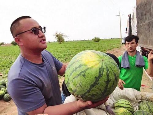 英歌吃瓜,揭秘娱乐圈的幕后故事