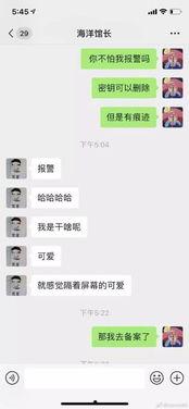 网警查吃瓜聊天记录,吃瓜聊天记录背后的网络秩序守护