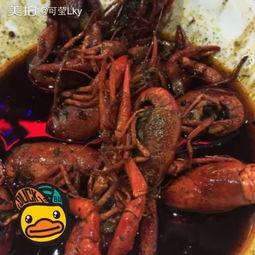 龙虾吃小瓜吗怎么吃视频,视频教你龙虾瓜果的独特吃法