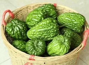 杜阮 吃凉瓜,夏日消暑，凉瓜美食之旅