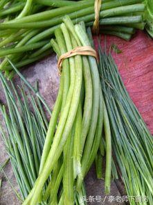 吃瓜卖瓜什么梗,揭秘吃瓜卖瓜背后的趣味与真相