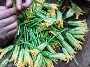 兰瓜花怎么吃  第3张