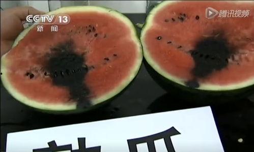 吃瓜人吃泥巴视频,揭秘吃瓜人挑战吃泥巴视频背后的疯狂魅力  第2张